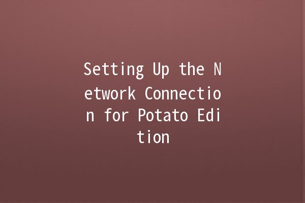 Setting Up the Network Connection for Potato Edition 🌐🍟