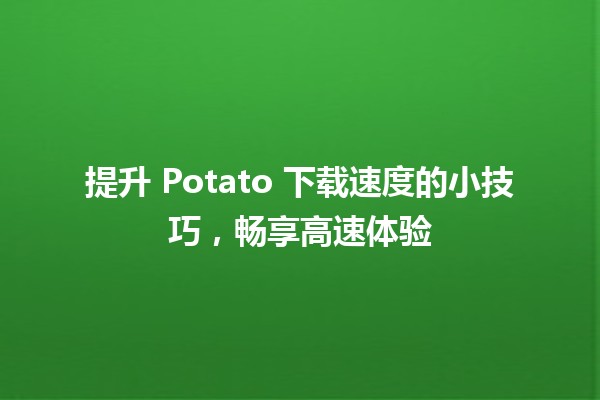 📈 提升 Potato 下载速度的小技巧，畅享高速体验 🚀