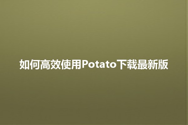 如何高效使用Potato下载最新版💻🚀