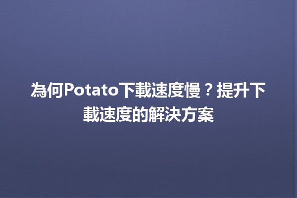 為何🍟Potato下載速度慢？提升下載速度的解決方案