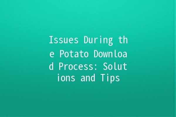 Issues During the Potato Download Process: Solutions and Tips 🚀🥔