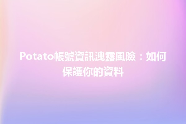 Potato帳號資訊洩露風險💻🔒：如何保護你的資料