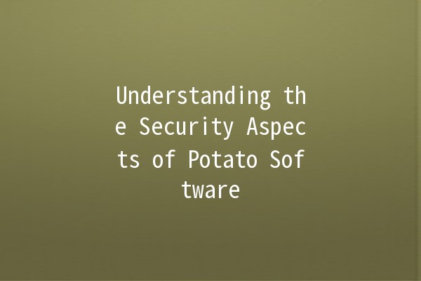 Understanding the Security Aspects of Potato Software 🥔🔍