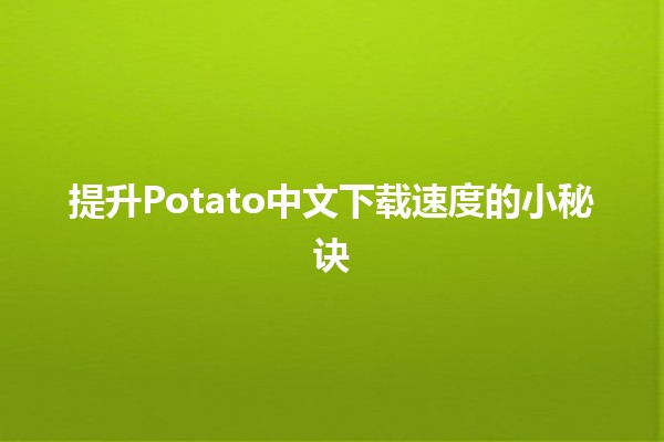 🚀提升Potato中文下载速度的小秘诀💡