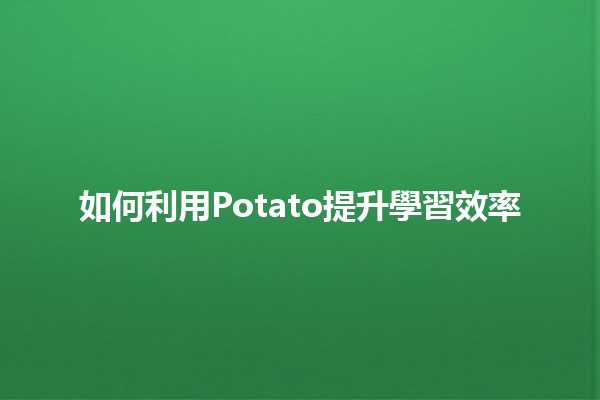 如何利用Potato提升學習效率 🍟🚀