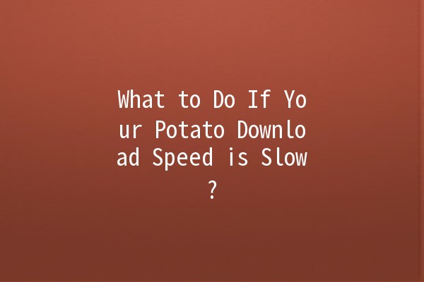 What to Do If Your Potato Download Speed is Slow? 🥔💻