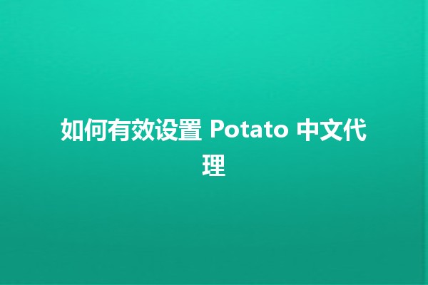 如何有效设置 Potato 中文代理 🌐✨