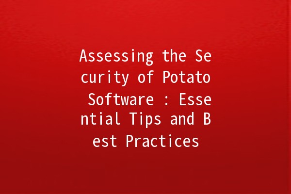 Assessing the Security of Potato Software 🥔🔒: Essential Tips and Best Practices