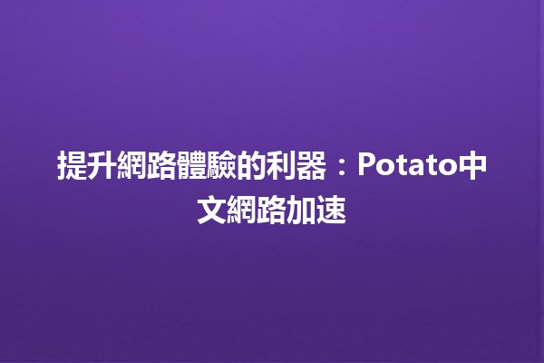 提升網路體驗的利器：Potato中文網路加速 🚀🌐