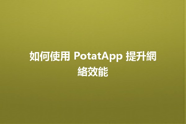 如何使用 PotatApp 提升網絡效能 🚀💻