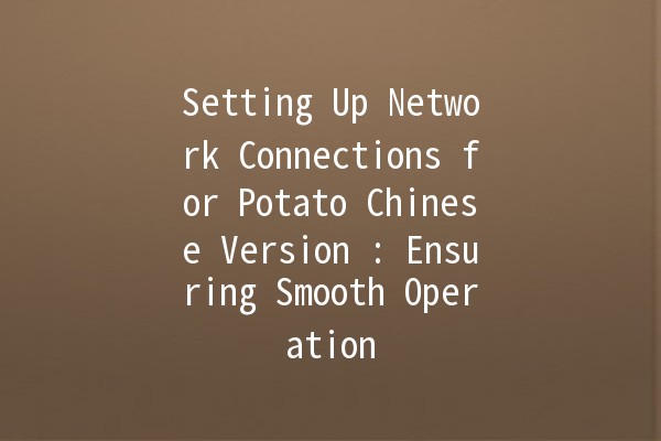 Setting Up Network Connections for Potato Chinese Version 🍟💻: Ensuring Smooth Operation