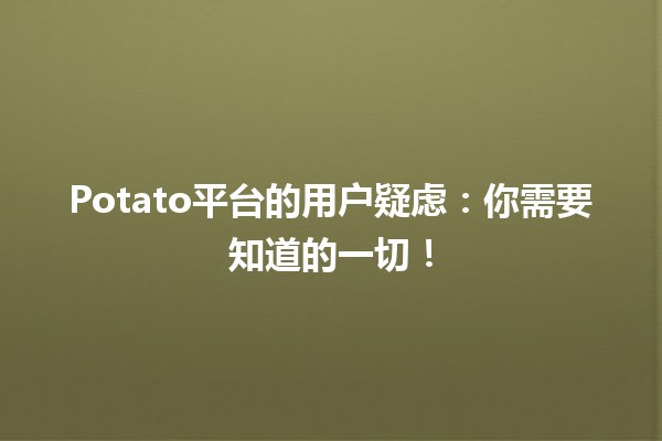 🍟 Potato平台的用户疑虑🤔：你需要知道的一切！