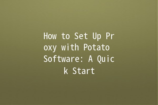 How to Set Up Proxy with Potato Software: A Quick Start 🚀