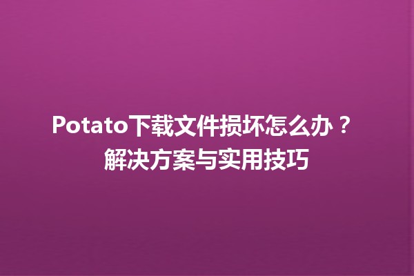 Potato下载文件损坏怎么办？🤔💾 解决方案与实用技巧