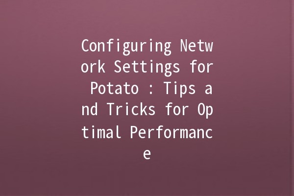 Configuring Network Settings for Potato 🥔: Tips and Tricks for Optimal Performance