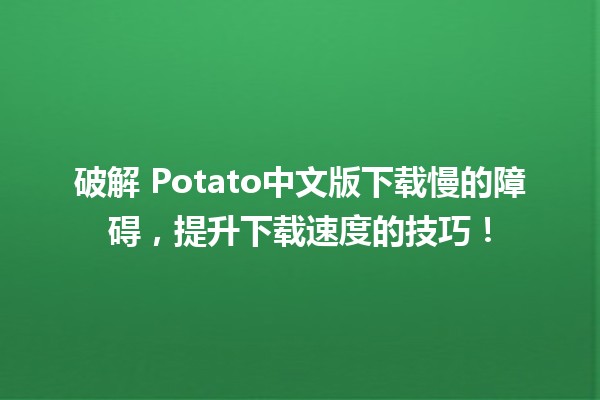 破解📥 Potato中文版下载慢的障碍，提升下载速度的技巧！