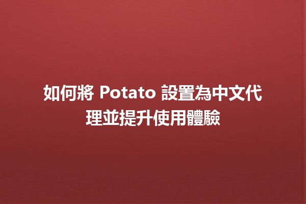 如何將 Potato 設置為中文代理並提升使用體驗 🥔🌏