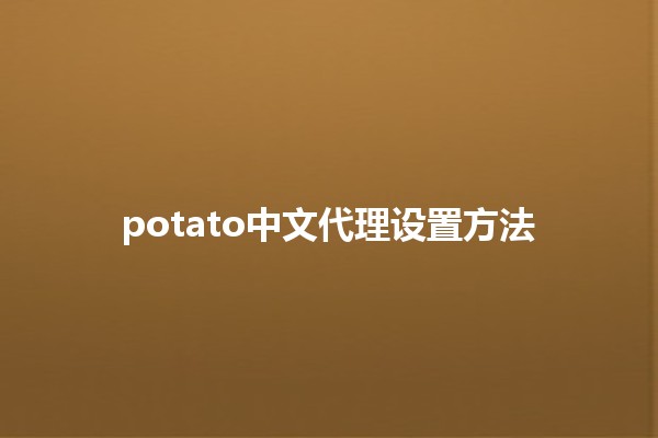 potato中文代理设置方法 🥔✨