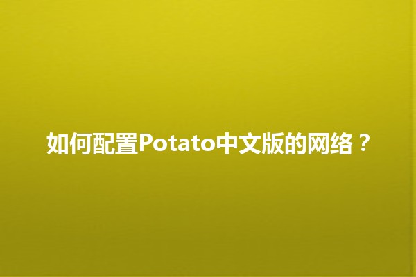 如何配置Potato中文版的网络？📶✨