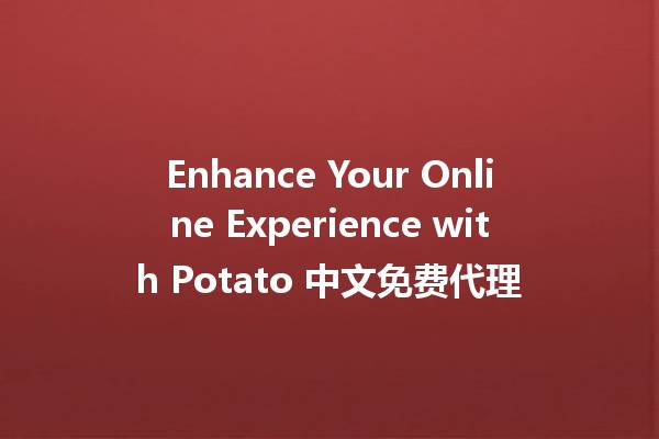 Enhance Your Online Experience with Potato 中文免费代理 🍟✨