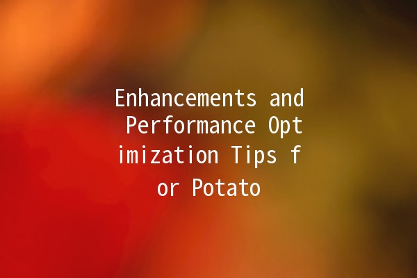 Enhancements and Performance Optimization Tips for Potato 🥔✨