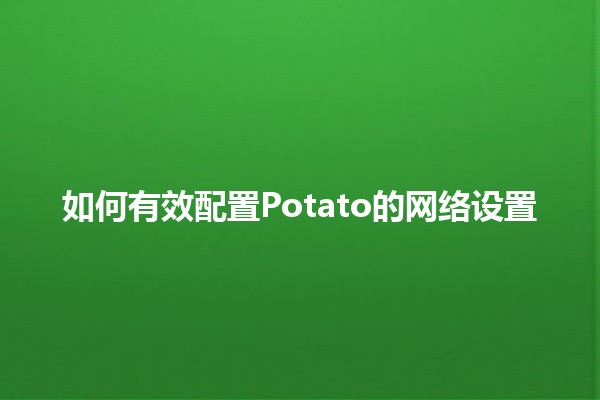 如何有效配置Potato的网络设置 🍟💻