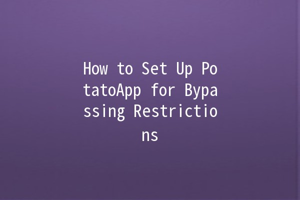 How to Set Up PotatoApp for Bypassing Restrictions 🌍🛡️