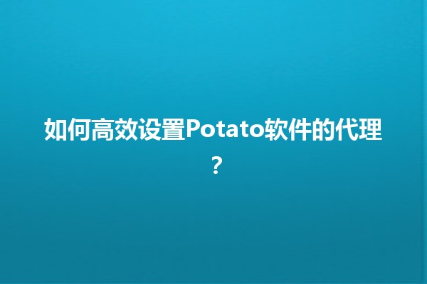 如何高效设置Potato软件的代理？🖥️🌐