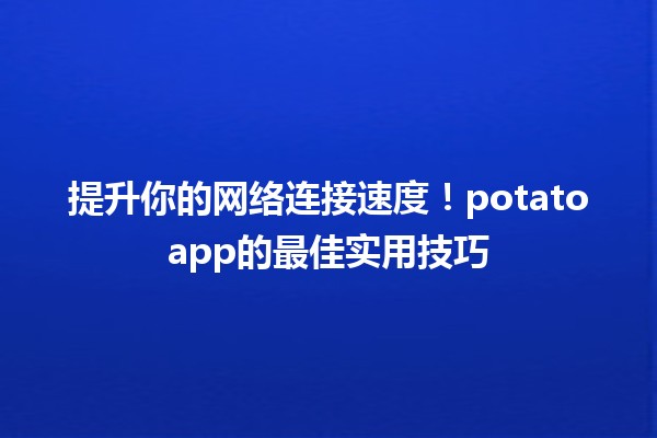 🚀 提升你的网络连接速度！potatoapp的最佳实用技巧