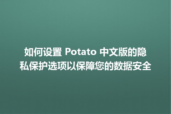 🍟 如何设置 Potato 中文版的隐私保护选项以保障您的数据安全 🔒