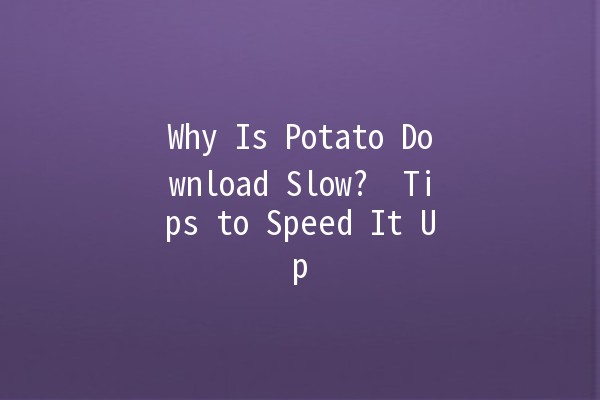 Why Is Potato Download Slow? 🚀 Tips to Speed It Up