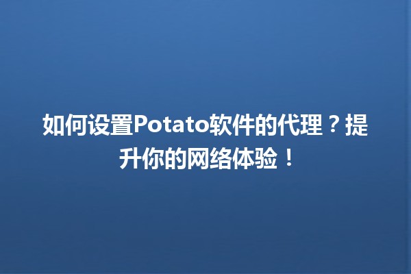 🚀 如何设置Potato软件的代理？提升你的网络体验！🌐