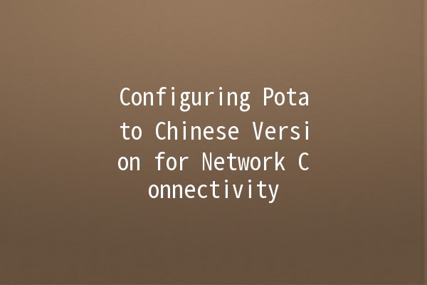 Configuring Potato Chinese Version for Network Connectivity 🌐📱