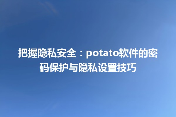 把握隐私安全🔒：potato软件的密码保护与隐私设置技巧