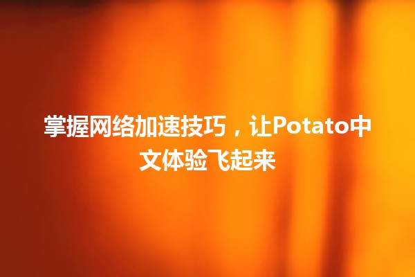 掌握网络加速技巧，让Potato中文体验飞起来🚀