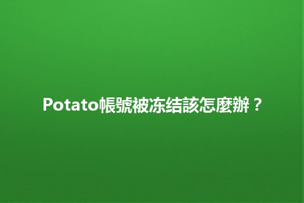 Potato帳號被冻结該怎麼辦？🧐🔒