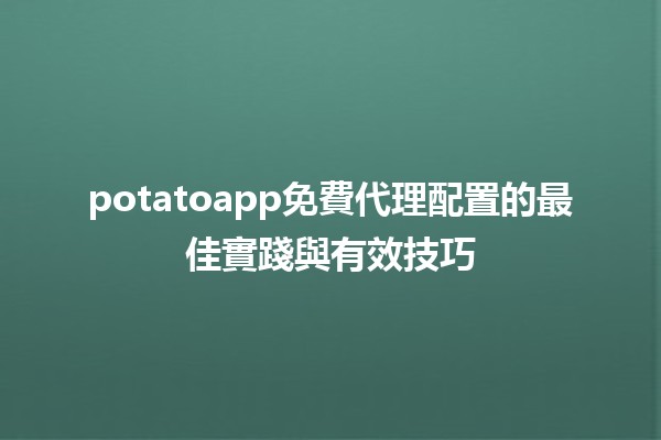 🚀 potatoapp免費代理配置的最佳實踐與有效技巧 💡