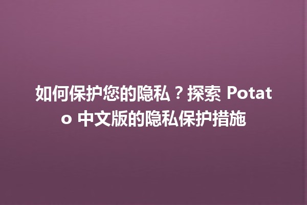 🌐 如何保护您的隐私？探索 Potato 中文版的隐私保护措施 🛡️