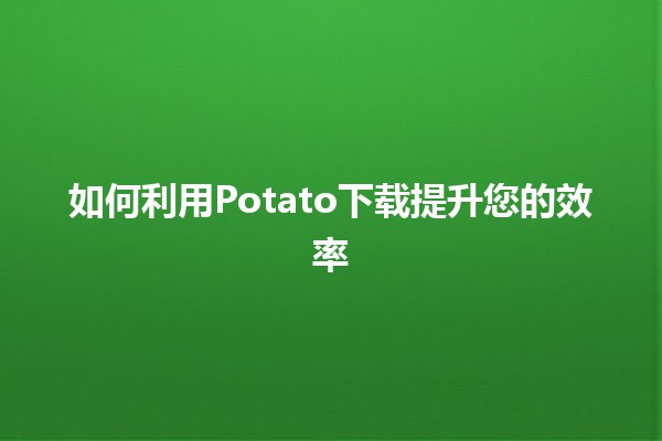 如何利用Potato下载提升您的效率 📥✨