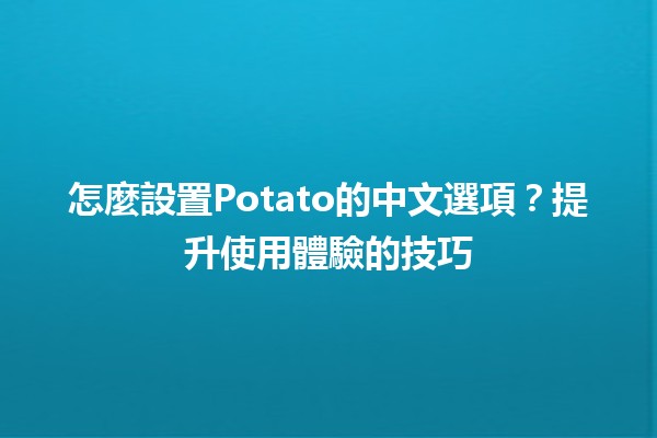 怎麼設置Potato的中文選項？🌟提升使用體驗的技巧