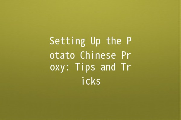 Setting Up the Potato Chinese Proxy: Tips and Tricks 🍟🔧