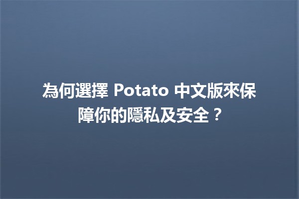 💼🔒 為何選擇 Potato 中文版來保障你的隱私及安全？