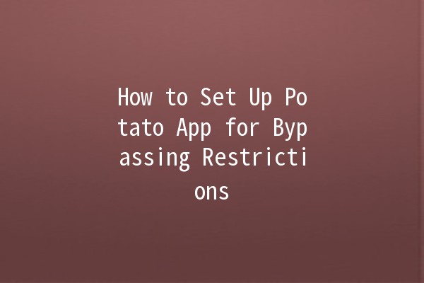 How to Set Up Potato App for Bypassing Restrictions 🌐🚀