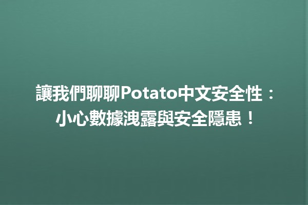 🍟 讓我們聊聊Potato中文安全性：小心數據洩露與安全隱患！