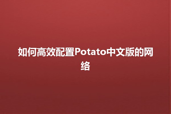 如何高效配置Potato中文版的网络 🌐🚀