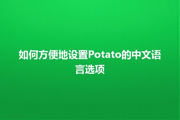 如何方便地设置Potato的中文语言选项🌟