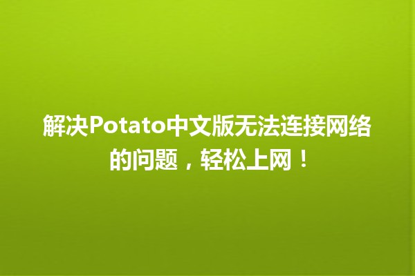 🔧 解决Potato中文版无法连接网络的问题，轻松上网！🌐