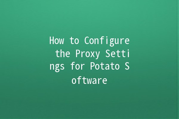 How to Configure the Proxy Settings for Potato Software 🌟🍟