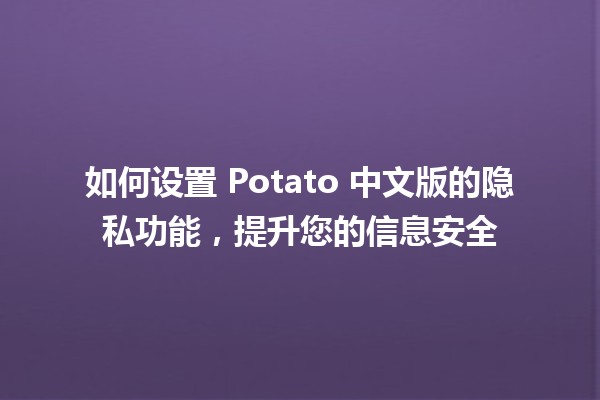 🥔 如何设置 Potato 中文版的隐私功能，提升您的信息安全