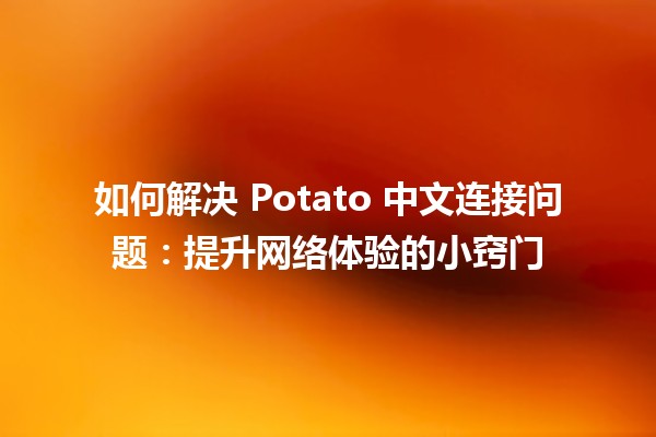 🥔 如何解决 Potato 中文连接问题：提升网络体验的小窍门